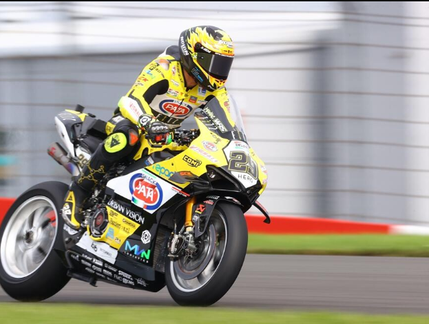 Bulega